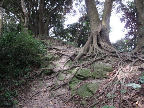 20150924hike (71)